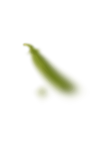 Pea